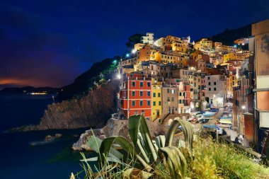 Riomaggiore waterfront adlı gece