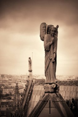 Paris çatı görünümü