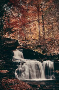 Sonbahar şelale Park