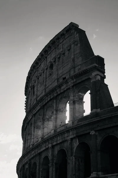 Coliseu em Roma em monocromático — Fotografia de Stock