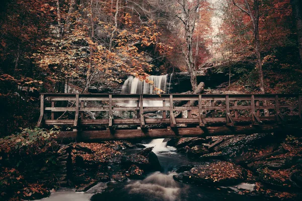 Herbst-Wasserfall im Park — Stockfoto