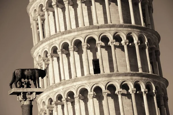 De tempel van Jupiter Optimus wolf toren in Pisa leunt — Stockfoto