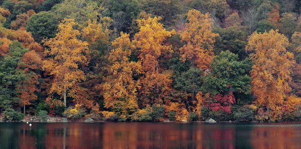 Feuillage coloré d'automne avec reflet de lac — Photo