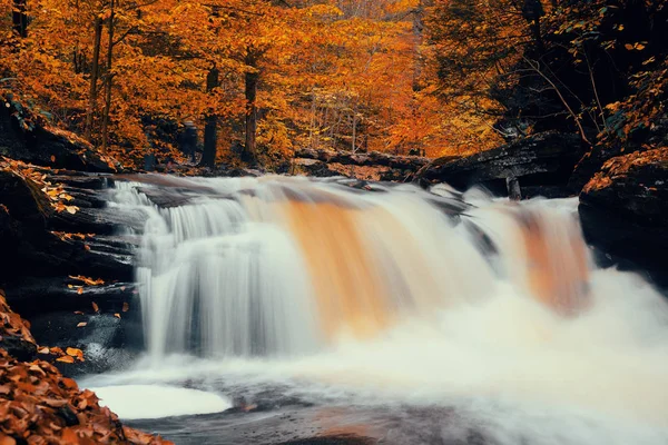 Herbst-Wasserfall im Park — Stockfoto