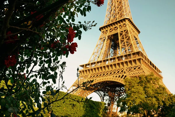 Tour Eiffel et fleurs — Photo