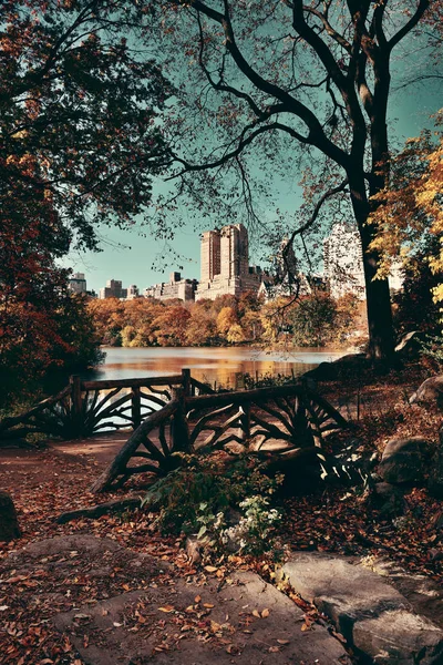Central Park in Autumn, New York — Stock Photo, Image