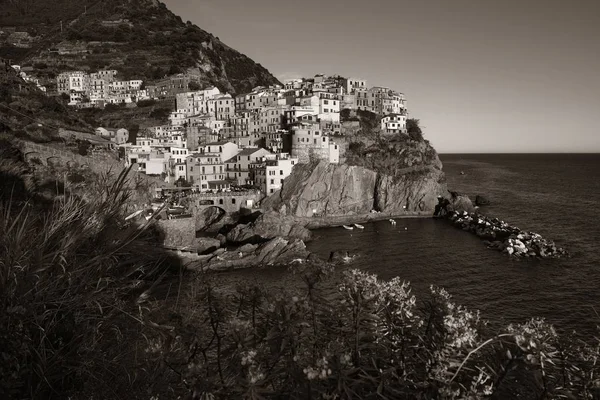 Manarola w cinque terre — Zdjęcie stockowe