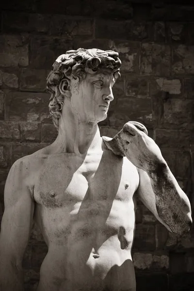 David Statue i Firenze – stockfoto