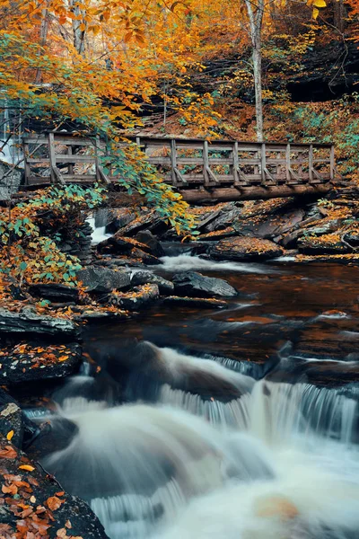 公園で秋の滝 — ストック写真