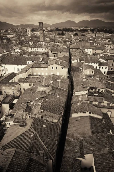Lucca rooftops pohled s horami — Stock fotografie