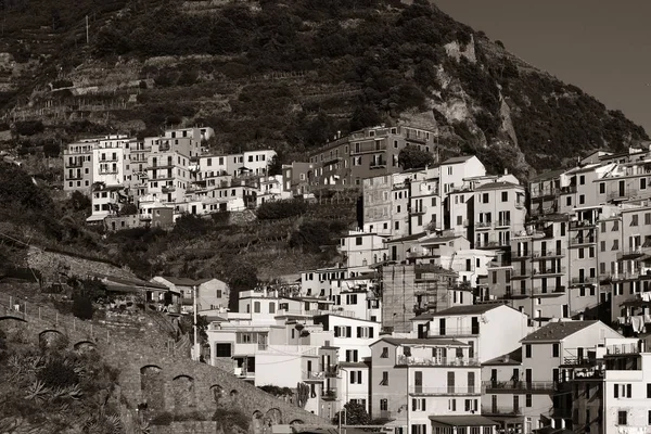 Manarola gebouwen in Cinque Terre — Stockfoto