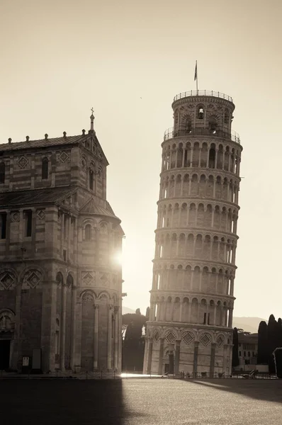 Šikmá věž v Pise za úsvitu — Stock fotografie
