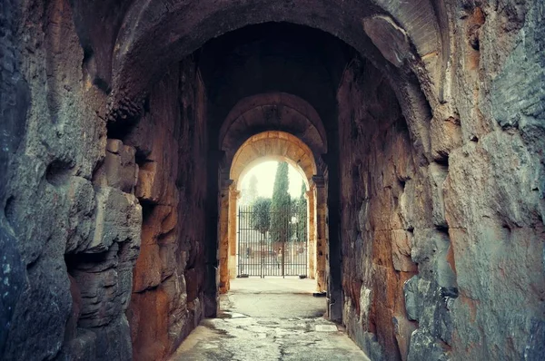 Colosseum in rome, italie — Photo