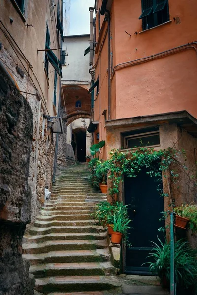 Callejón Riomaggiore en Cinque Terre — Foto de Stock