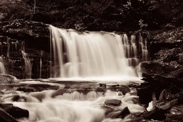 Cascada en bosque salvaje —  Fotos de Stock