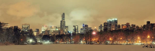 Central Park im Winter — Stockfoto