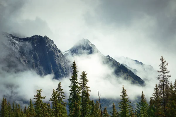 Nationaal Park Banff, Canada — Stockfoto