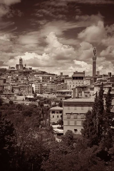 Ciudad medieval Vista del horizonte de Siena —  Fotos de Stock