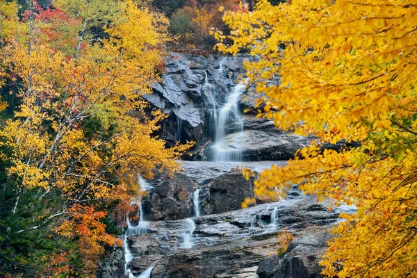 Creek Outono colorido — Fotografia de Stock
