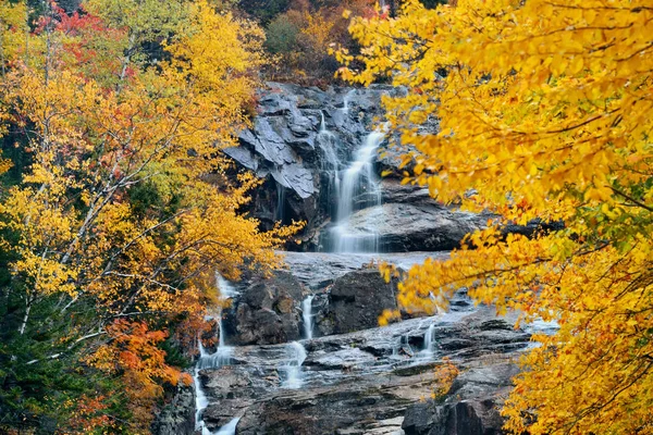 Färgglad höst creek — Stockfoto