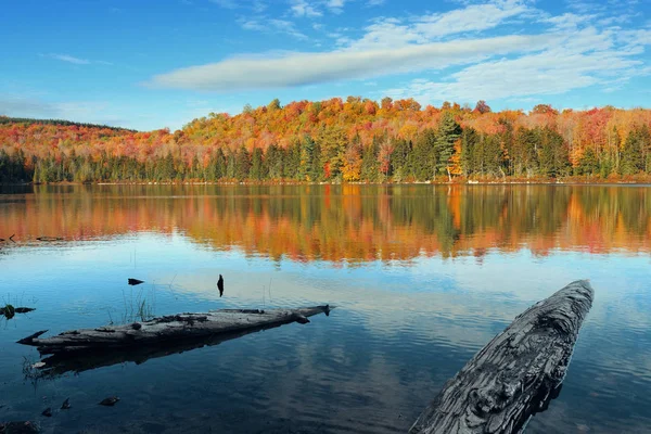 Lac avec feuillage d'automne — Photo