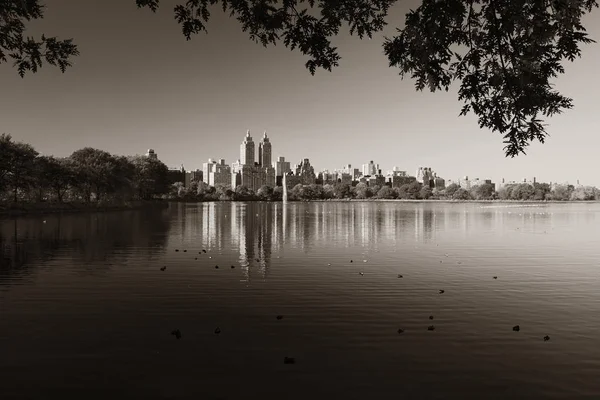 Центральный парк в Отумне, Нью-Йорк — стоковое фото