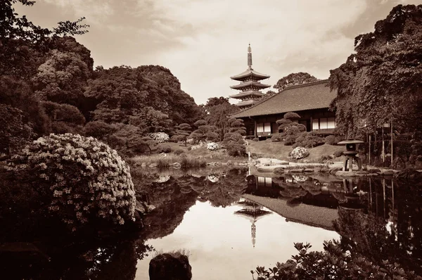 Trädgård i sensoji temple — Stockfoto