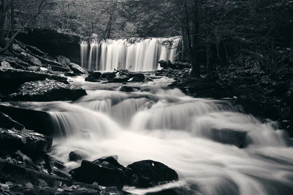 Wasserfälle im Wald in Schwarz-Weiß-Tönen — Stockfoto