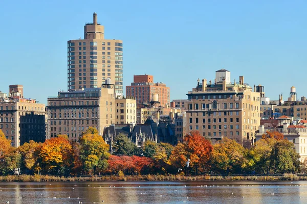 Central Park em Nova York — Fotografia de Stock