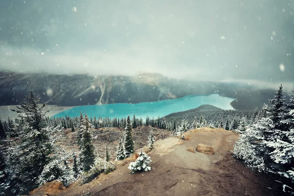 Peyto Lake på vintern med snö — Stockfoto