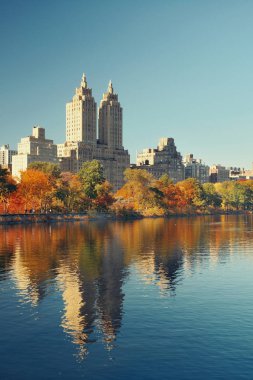 New York 'taki Central Park