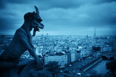 Paris çatı görünümü