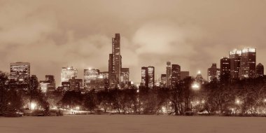 New York 'taki Central Park