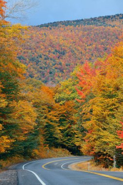Otoyol ve sonbahar yaprakları