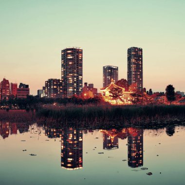 Tokyo 'daki ueno parkı.