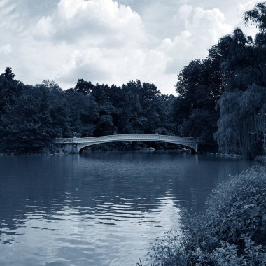 New York 'taki Central Park