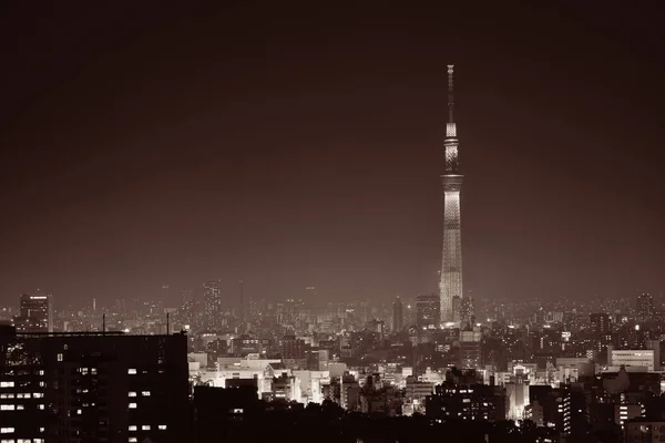 東京夜景 — ストック写真