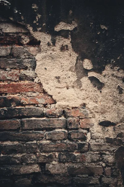 Фон стены старого здания Сиены — стоковое фото