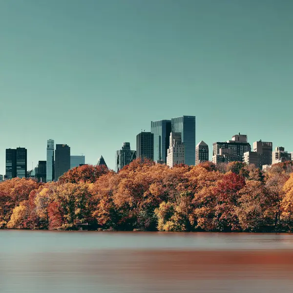Central Park in New York City — Stockfoto