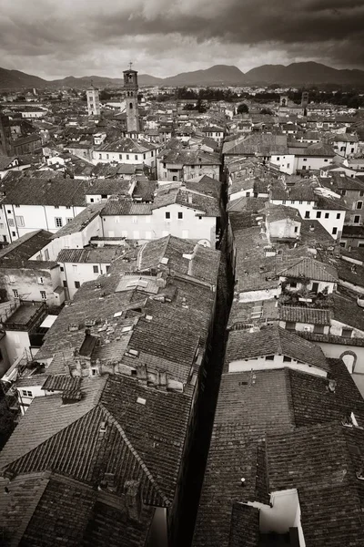 Zobrazení střeše Lucca — Stock fotografie