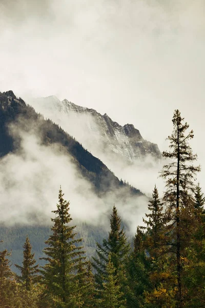 カナダのバンフ国立公園 — ストック写真