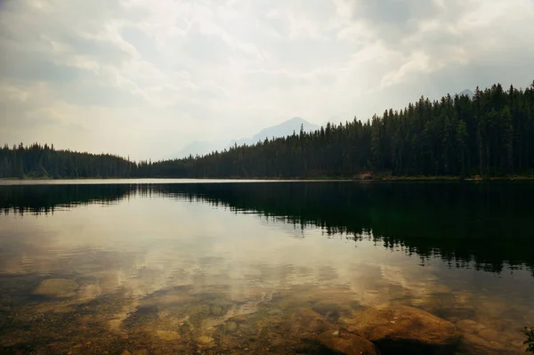 Герберт озеро с лесным озером — стоковое фото