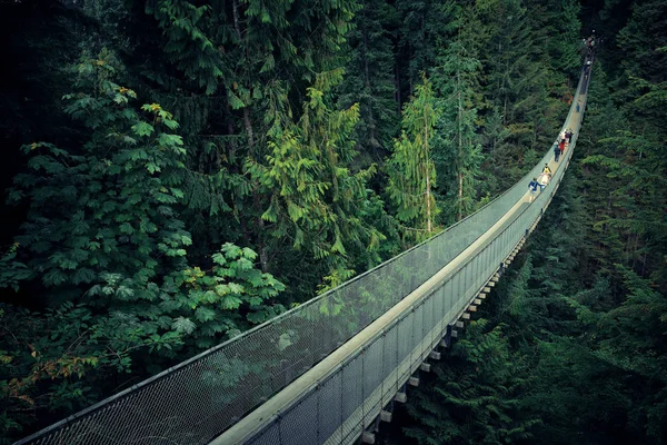 Capilano Suspension Bridge — Stock Photo, Image