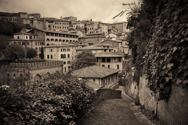 Siena vista de rua — Fotografia de Stock