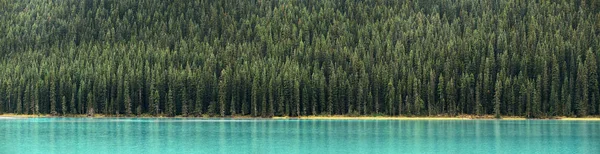 Лесная панорама на берегу озера — стоковое фото