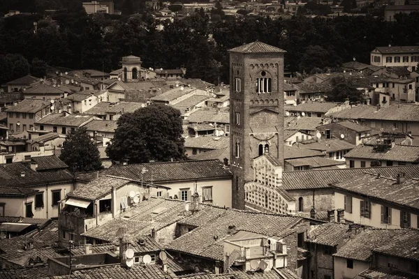 Vista da torre do relógio Lucca — Fotografia de Stock