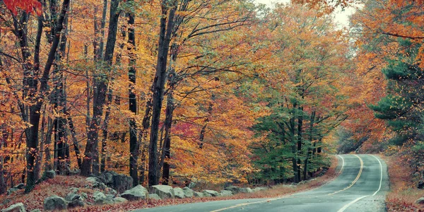 Herbst buntes Laub und natürliche Landschaft — Stockfoto