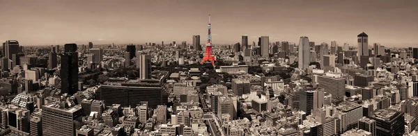 Tokyo Skyline view — Stockfoto