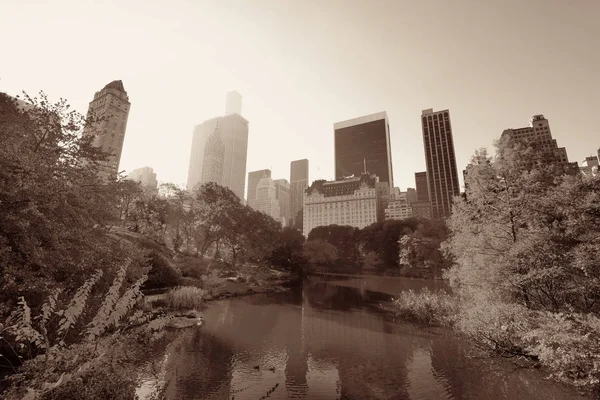 Central Park w Nowym Jorku — Zdjęcie stockowe