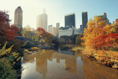 Central Park'a sonbahar